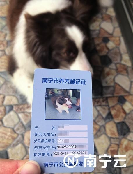 如何文明养犬南宁多个小区有妙招：小小宠物公厕解决狗狗方便问题