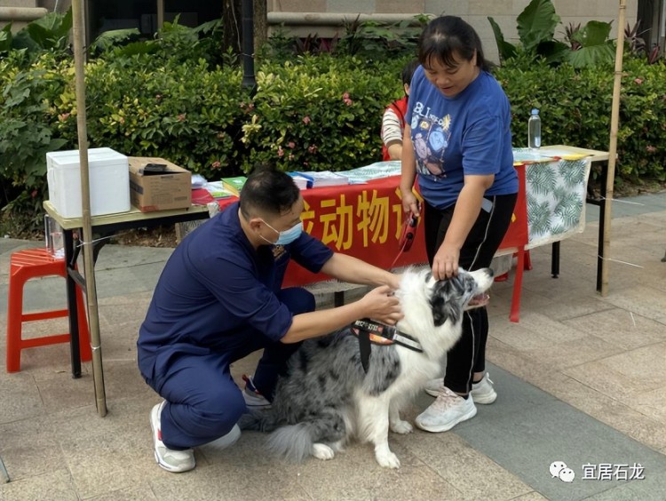 @各位养宠人：石龙欢乐宠物节暨动物健康防疫宣传日活动来啦！