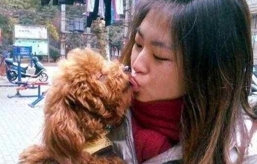 为什么中华田园犬的弃养率越来越高背后有这些原因